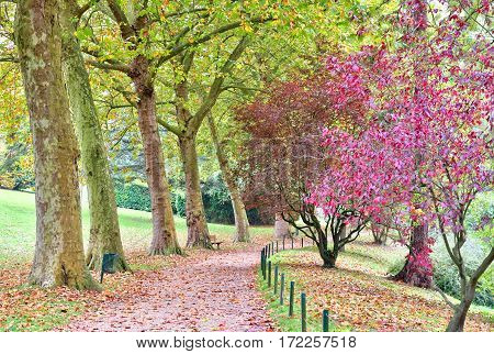 Poissy; France - october 26 2016 : the picturesque Messonier park