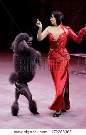 ST. PETERSBURG, RUSSIA - FEBRUARY 3, 2017: Elena Petrikova and her trained dog in the dress rehearsal of the circus program CircUS 2.0. The program reflects the vision of circus art of XXI century