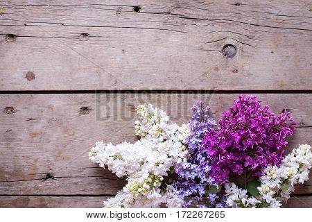 Spring background. Fresh aromatic lilac flowers on vintage wooden planks. Selective focus. Place for text. Floral still life.
