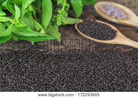 raw basil seed, herb in Thai, aids digestion as a laxative