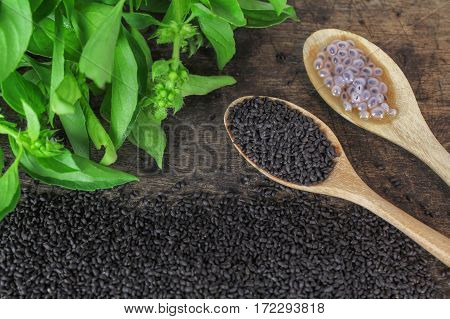 raw basil seed, herb in Thai, aids digestion as a laxative