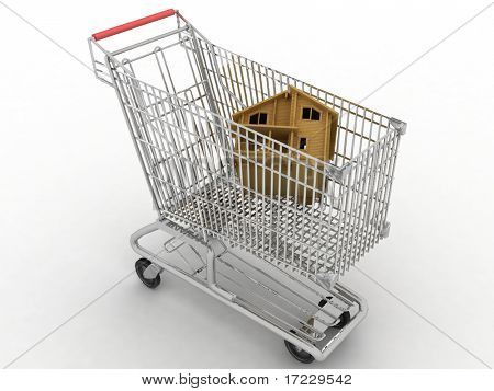 light cart of supermarket with the model of house