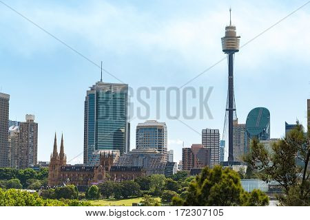 Sydney Cityscape With St Marys Cathedral And Sydney Tower