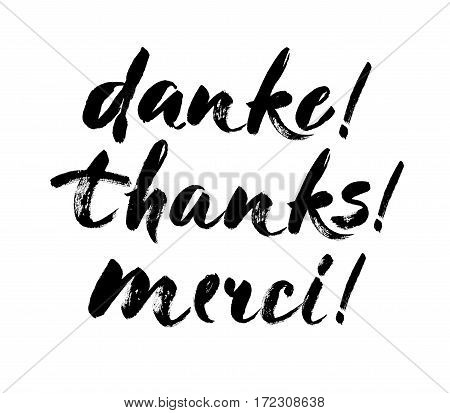 Thank you lettering in english french german Thanks Merci Danke Hand drawn vector phrase. Handwritten modern brush calligraphy for invitation and greeting card t-shirt prints and posters