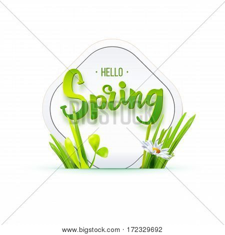 Hello Spring card. Paper tag with green grass isolated on white background. Springbackground. Vector illustration