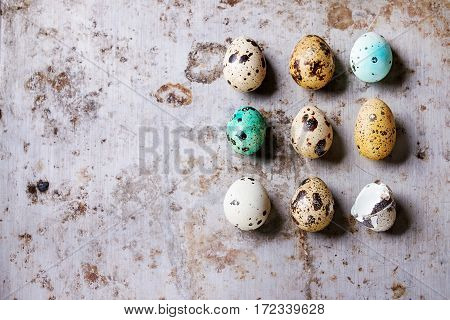 Colorful Easter Quail Eggs