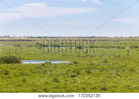 Swamp On A Farm In Lagoa Do Peixe National Park