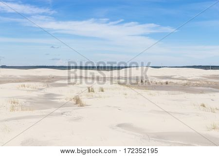 Vegetation On The Dunes At Lagoa Do Peixe National Park