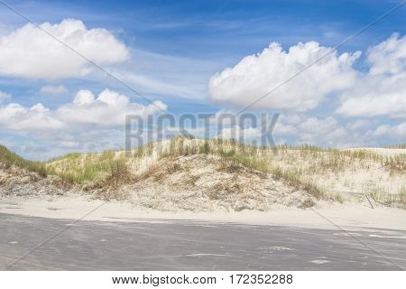 Dunes, sand and vegetation of Mostardas beach