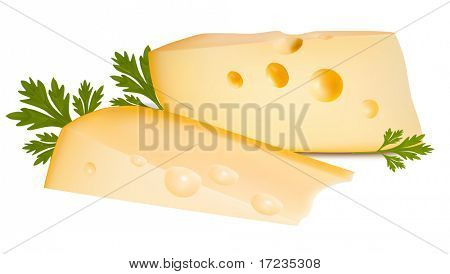 Vektorové ilustrace. Sýr s petrželkou.
