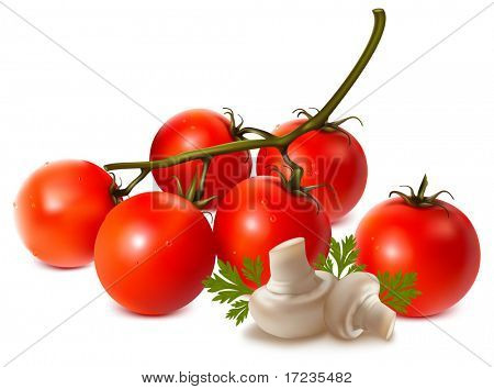 Vektorové rajčat s žampiony a petrželkou.