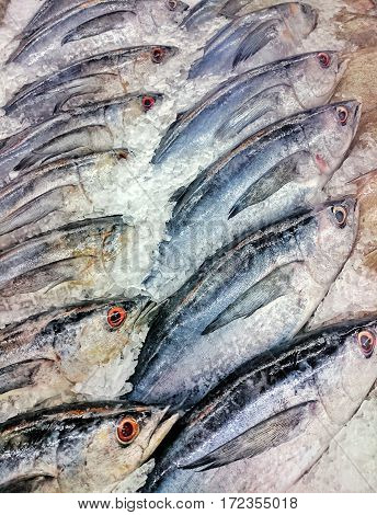 Fresh fish on ice at the seafood booth, Food industrial image