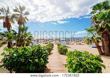 View On Beach And Ocean, Tropical Resort