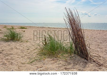 The sandy beach of the North Sea Netherlands.