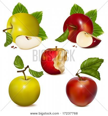Vektor-Illustration.  Satz von roten und grünen Äpfeln.