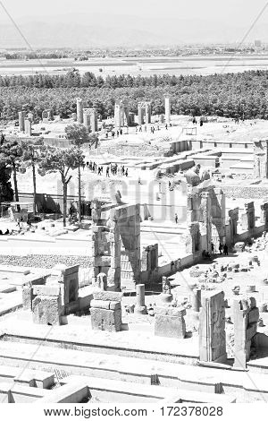 In Iran          Persepolis