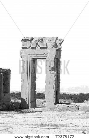 In Iran          Persepolis