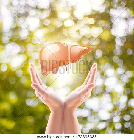 Liver Is In Hand On A Blurred Background.