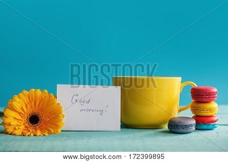 Big Cup of tea with wite flower and macaroons with blank on blue background.