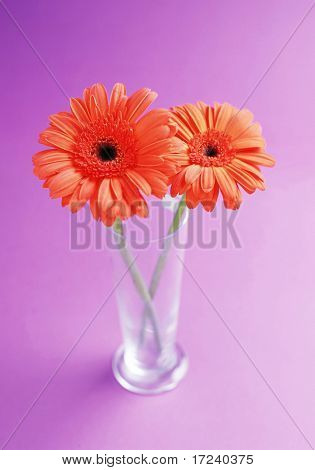 꽃병에 꽃