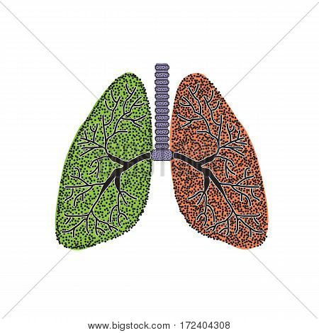 Lungs. The structure of the human lung. Vector illustration on isolated background.