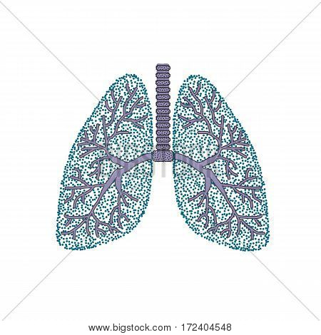 Lungs. The structure of the human lung. Vector illustration on isolated background.