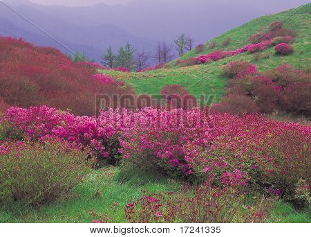 montagna