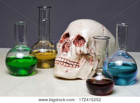 Photo of human's scull in laboratory closeup shooting