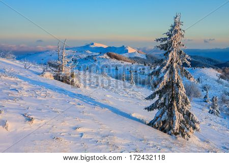 Beautiful Winter Landscape In The Mountains, Bieszczady, Poland