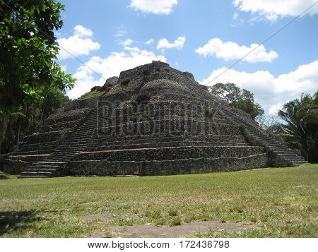 The Great Pyramid  at Chacchoben can be seen above the jungle. Chacchoben is a Mayan site located in the Mexican Yucatan peninsula.