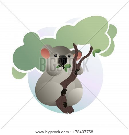 Hand drawn portrait of koala having meal. Illustrated cartoon koala. Vector illustration. Wild illustrated animals
