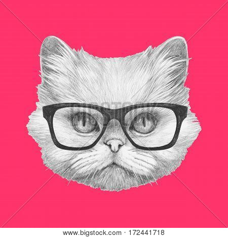 Portrait of Persian Cat with glasses. Hand drawn illustration.
