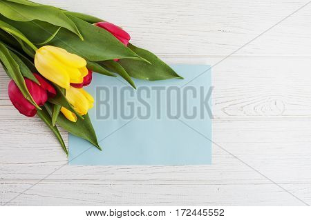 Colored tulips and white background. The concept congratulations on occasion of March 8 Mother's Day birthday Easter.