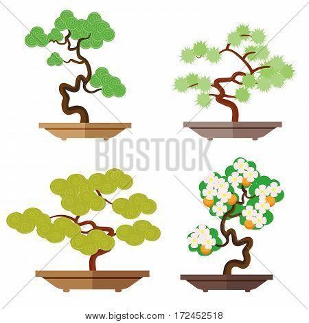Set of bonsai. Japanese culture is the cultivation of bonsai. Miniature plants. Japanese culture is the cultivation of bonsai. Vector, illustration in flat style isolated on white background EPS10