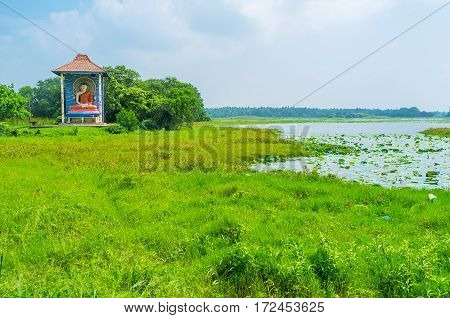 The Green Lakes Of Sri Lanka