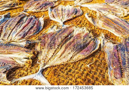 The Coastal Cuisine In Sri Lanka