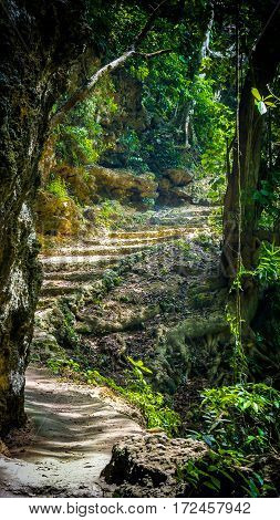 Stone staircase leading through tropical forest to Tembeling Beach, Nusa Penida Bali Indonesia