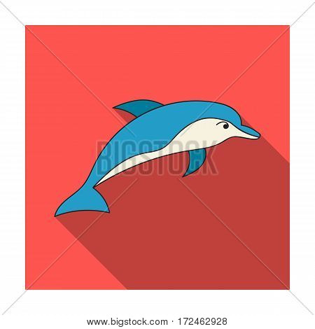 Dolphin icon in flat design isolated on white background. Sea animals symbol stock vector illustration.