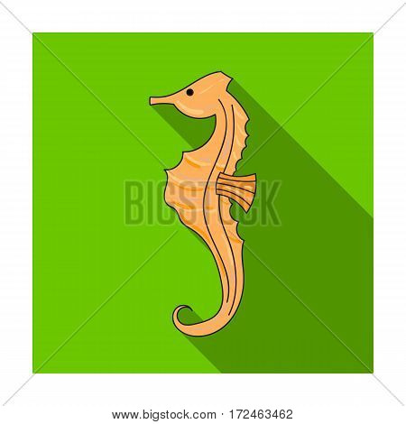 Seahorse icon in flat design isolated on white background. Sea animals symbol stock vector illustration.