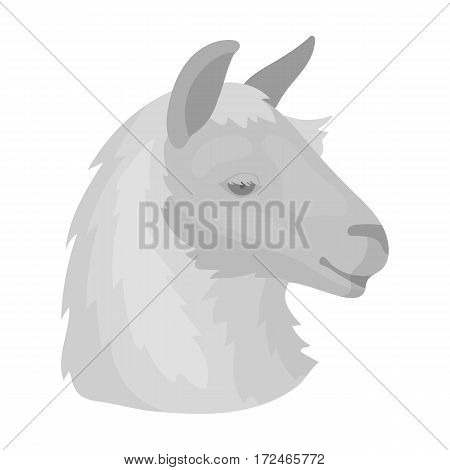 Lama icon in monochrome design isolated on white background. Realistic animals symbol stock vector illustration.