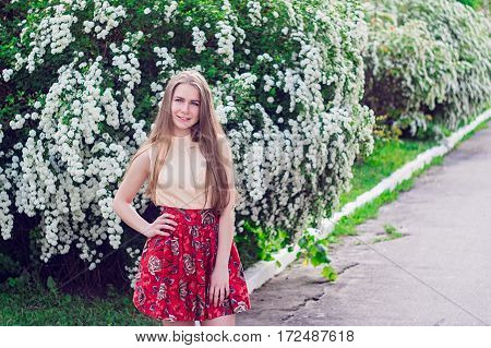 Beautiful Model Range Bush Of White Flowers