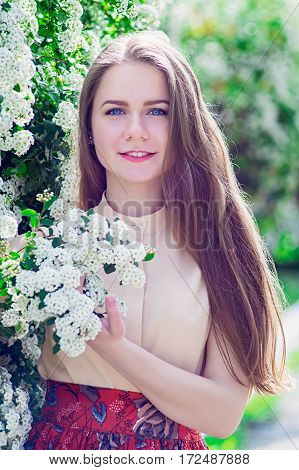 Beautiful Model Range Bush Of White Flowers