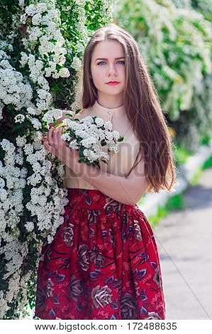 Beautiful Model Range Bush Of White Flowers