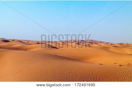 Arabian desert dune background on blue sky. Desert near the city of Dubai. many dunes stretching out into the distance on the background of clear sky