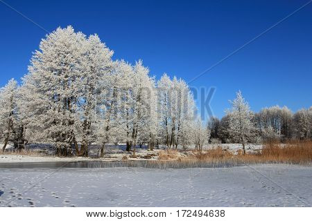 Winter landscape with frozen lake. Masurien region Poland