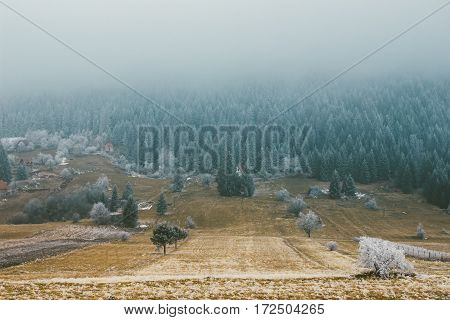 Beautiful Ladnscape Of Pine Forest Mountain In Winter.