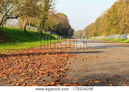 Generic view of Monza high-speed oval with banked sopraelevata curves in a autumn day