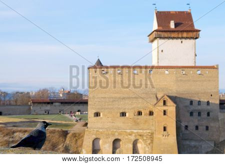 NARVA, ESTONIA - JANUARY 3, 2017: Hermann Castle Museum on the bank of The Narva (Narova) River. View from observation deck of Ivangorod Fortress in Russian Federation