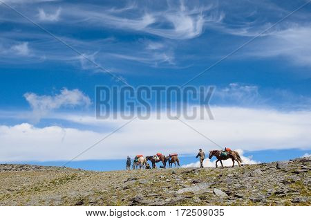 Horses on the mountain pass at the blue sky
