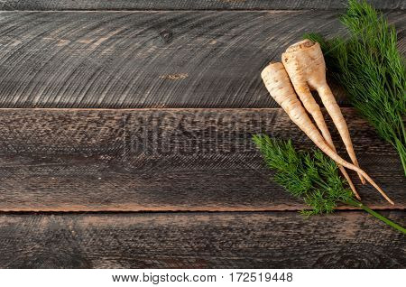 Fresh parsley root parsnip and dill on wooden background. Selective focus